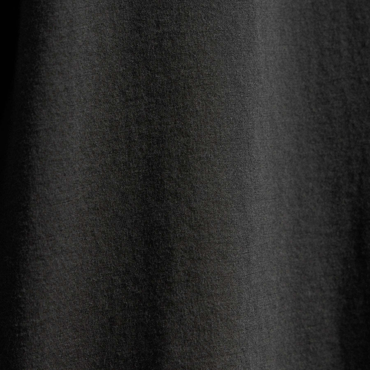 Luxe Lotus Jersey Crew in Carbon | James Perse Los Angeles