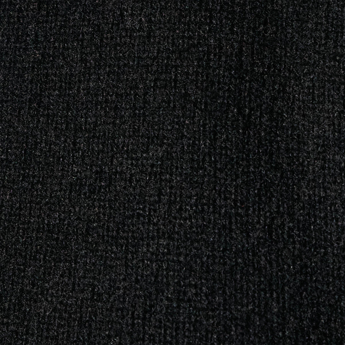 Cashmere Cropped Crew Neck in Black | James Perse Los Angeles