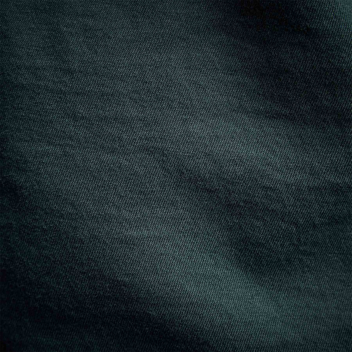 Long Sleeve Crew Neck in Laurel | James Perse Los Angeles