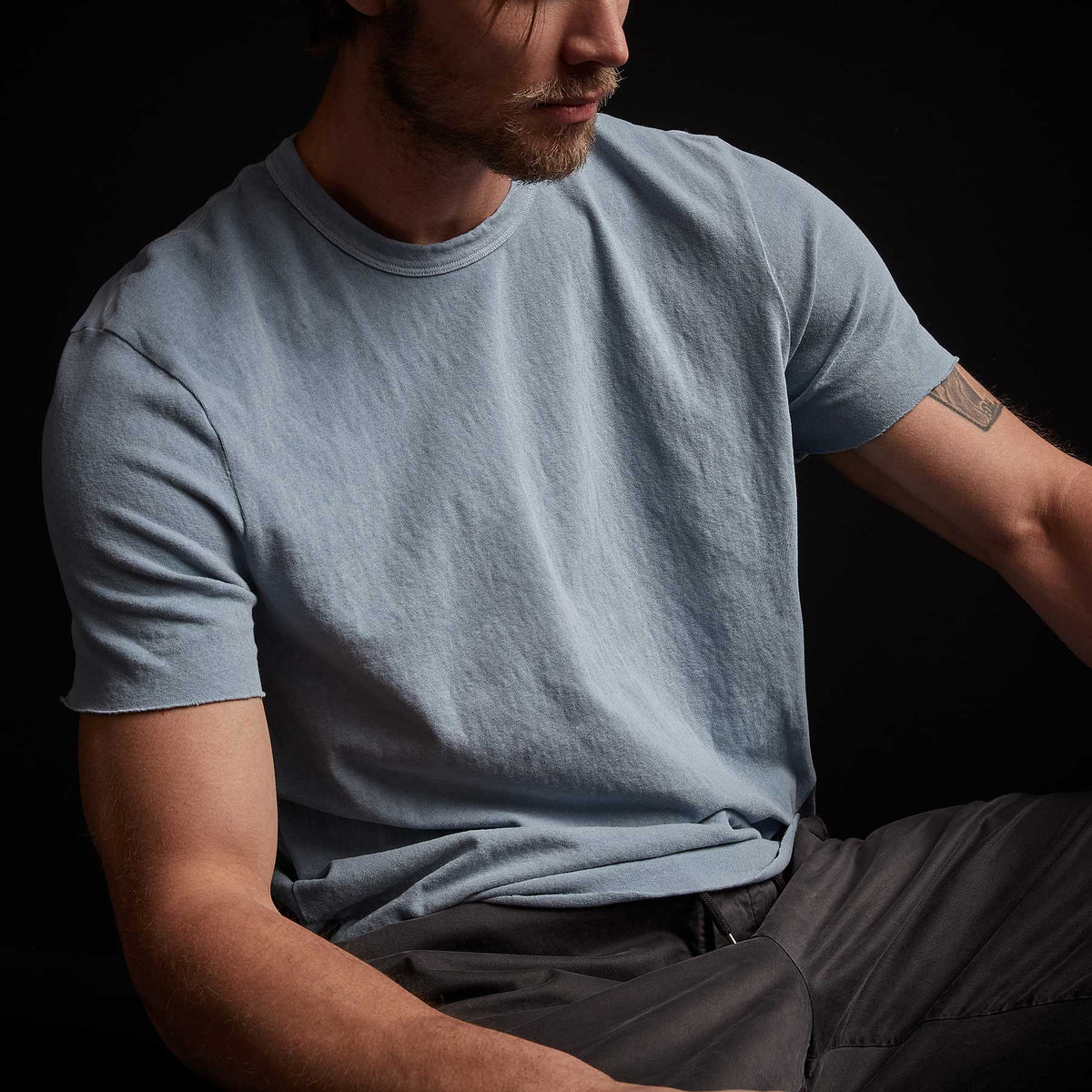 Recycled Brushed Jersey Crew Neck - Bluestone Pigment | James Perse Los Angeles